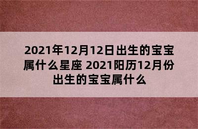 2021年12月12日出生的宝宝属什么星座 2021阳历12月份出生的宝宝属什么